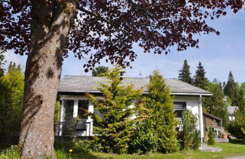 Ferienhaus FREE WILLI - Foto 1