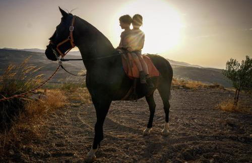 Cortijo Rica - Photo 29