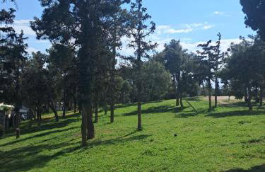 Alsos Home - Foto 22