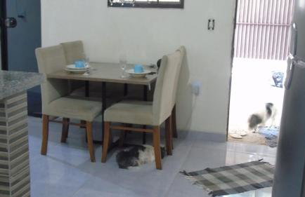 Casa com garagem entrada individual, próximo ao Hospital do câncer e faculdades - Foto 38