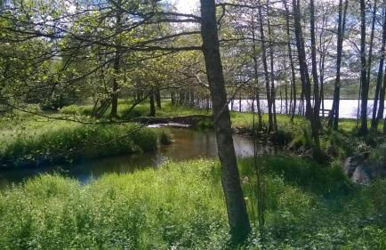 Les Gites de l étang :Studio à 20 mn de Gerardmer - Foto 43