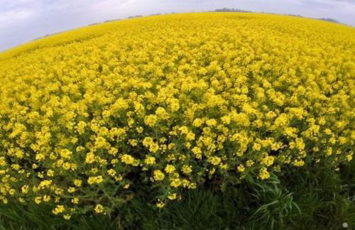 Apartment Huus Thimo by Interhome - Foto 35