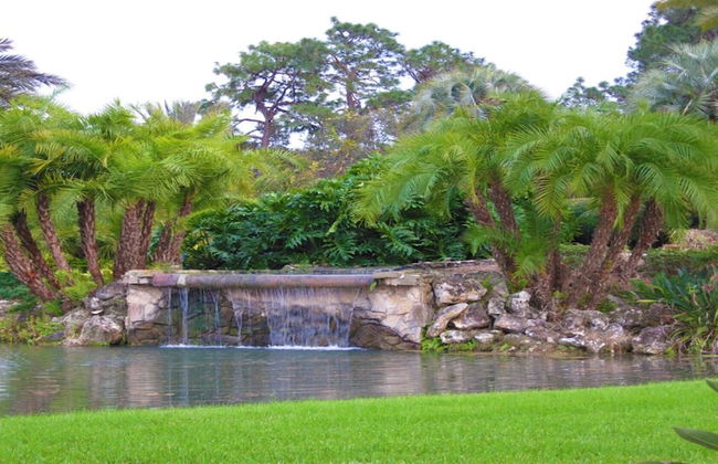 7 Room Saddlebrook Golf SPA Villa 5BR 4BA - Photo 19