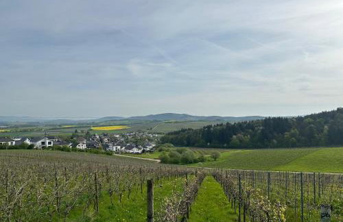 Ferienwohnung Moselherz - Urlaub im Wein- und Ferienort Bekond - Foto 11