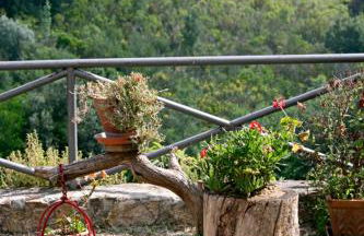 Villa Ginestra a "Casa Conti di Sotto" - Foto 73