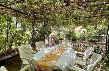 Vila Klara double room - terrace view - Foto 23