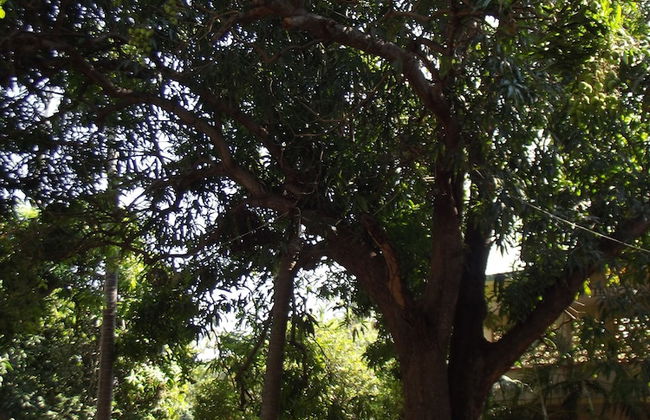 Villas Los Ángeles - Foto 11