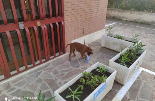 Top Apartments Roma 1 Metro A Free Parking - Foto 21