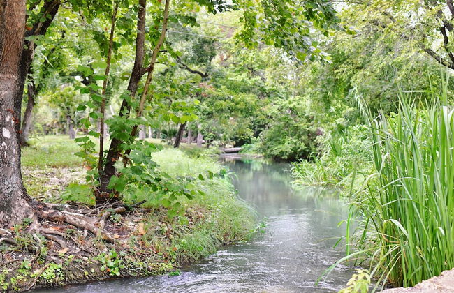 3 Son's Geronimo - Birdhouse Cabin - Foto 59