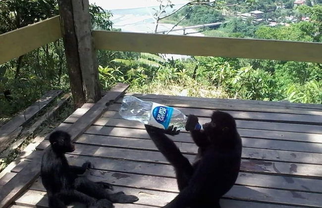 cabañas la monita - Photo 17