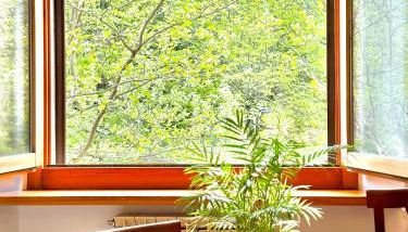 Dimora delle Mura - Foto 2, Garden, Garden view