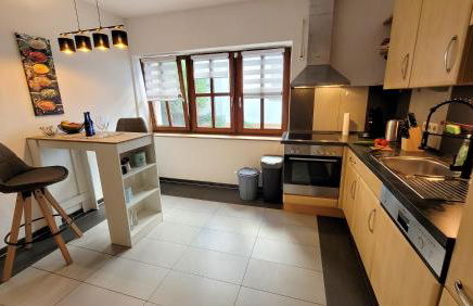 Gemütliches Altbau-Loft mit Kamin und Parkplatz - Foto 5