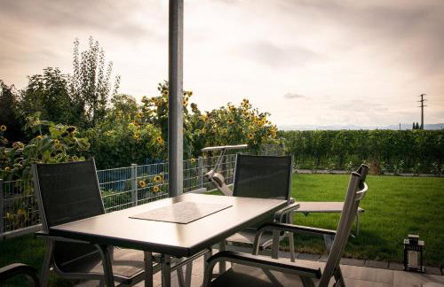 Ferienwohnen im Ziegelfeld - Foto 33