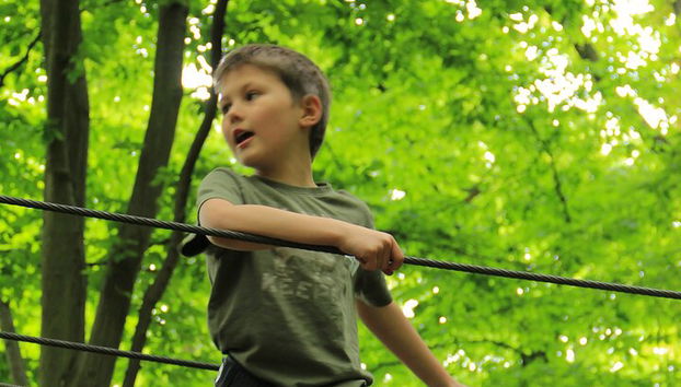 Une Journée Dans le Plus Grand Parc D’Aventure de France - Photo 2