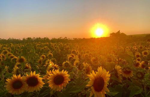 The Farmhouse - Foto 30