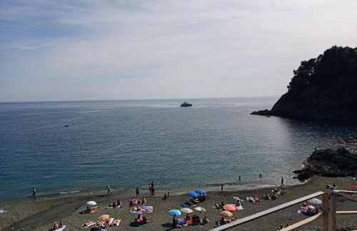 L' eden di Erasmo - Foto 4