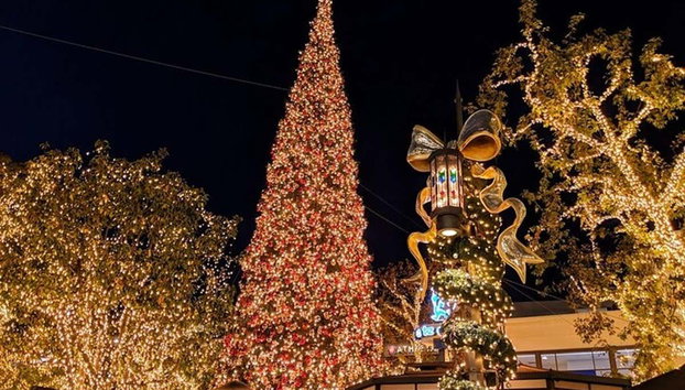 Autobús navideño de Los Ángeles - Foto 2, El árbol de Navidad más alto de Los Ángeles