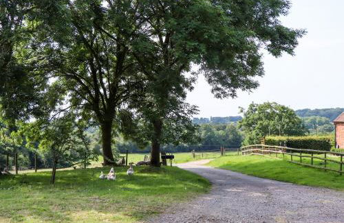 The Shires at Bickerscourt - Foto 31