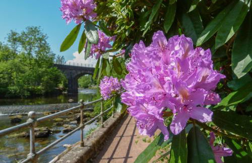 Maisie's Cottage - Foto 34