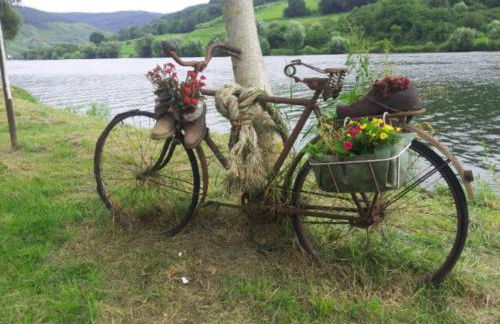 Landhaus Sonnenwinkel - Foto 19