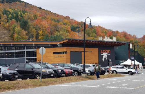 Spacious Private Home in White Mountains-Loon-Owl - Foto 55