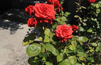 Apartments Mare - Photo 60