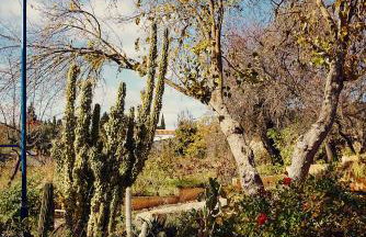 Vivienda Turística La Huerta - Foto 43