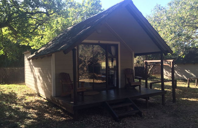 Coral Divers - Foto 3