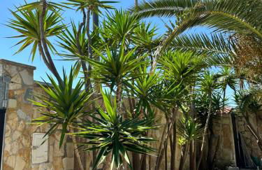 Eleutheria beach villa by the beach - Foto 24