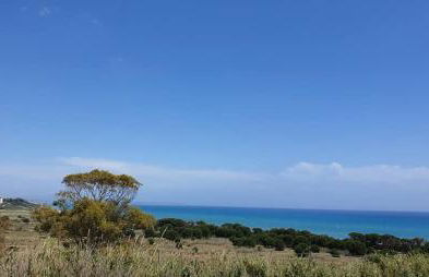 Il Canneto di Selinunte - Foto 12