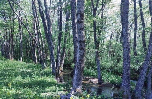 Cottage in Lovinac Near Paklenica Park - Foto 14