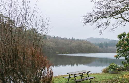 Tafarn Trip - Foto 16