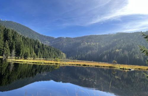 Seidl - Holiday Apartment - Foto 24