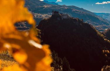 Villa Silvia - Photo 7