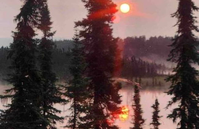 Moose Landing - Foto 40