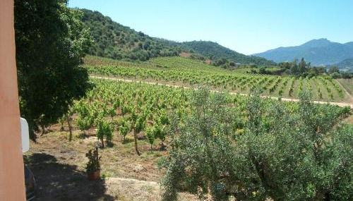 Monte Astili - Foto 2