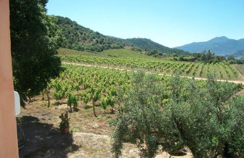 Monte Astili - Foto 2