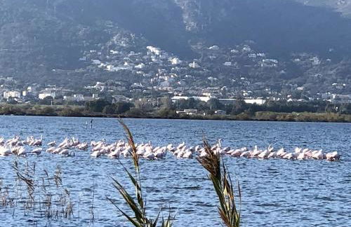 Evasion de rêve à Casa Nina - Foto 6