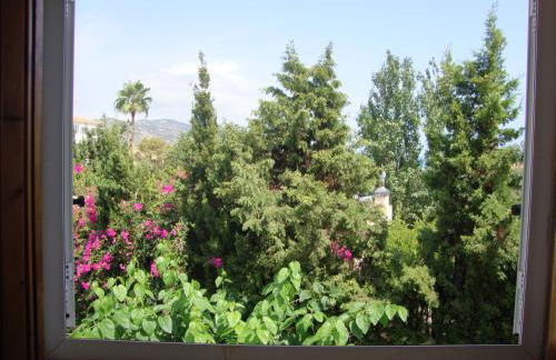 Alquileres Cap y Corp - Foto 9