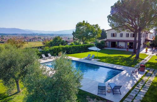 Il Fico e La Civetta - Foto 30