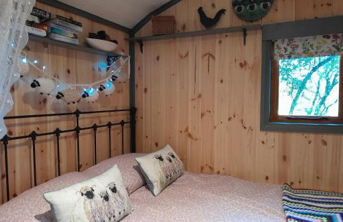 Little Greenwood Shepherd Hut - Sleeps 2 - Foto 43