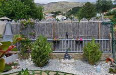 Quinta do Ribeiro - Covilhã - Serra da Estrela - Foto 21