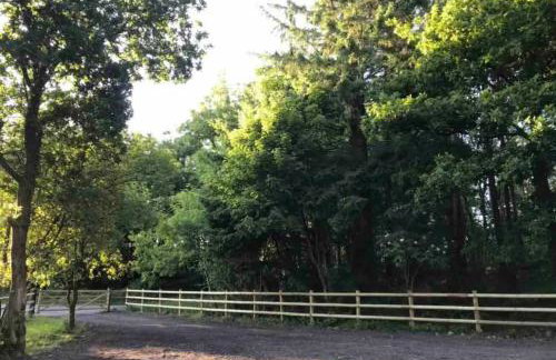 Flying Scotsman Unique Carriage Pet Friendly! Lazy Spa can be available upon request with additional cost of 40 - Foto 15