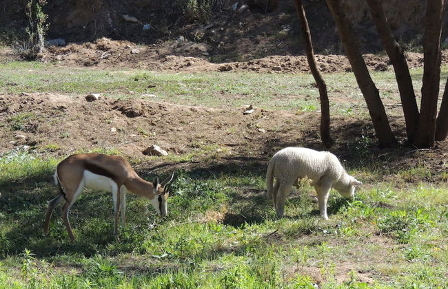 Cango Retreat - Foto 48