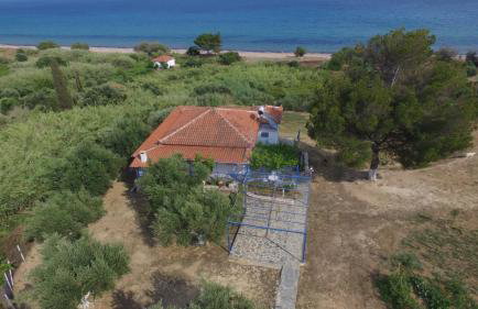 Margarita House - Photo 65