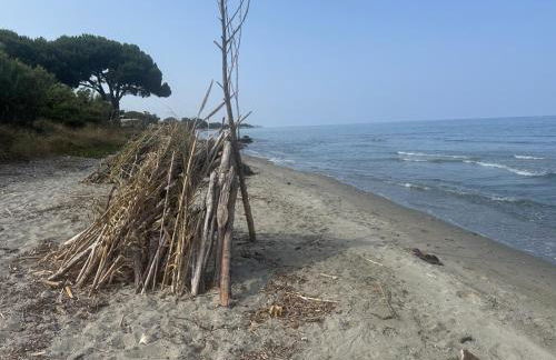 Appartement n 79 Moriani plage - Foto 35