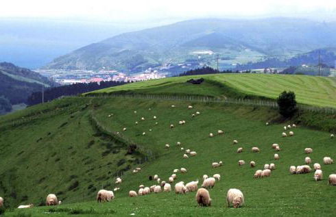 Casa Rural Orortegi - Foto 19