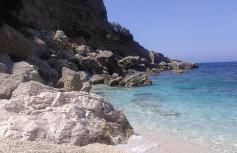 Il sughereto - Foto 19