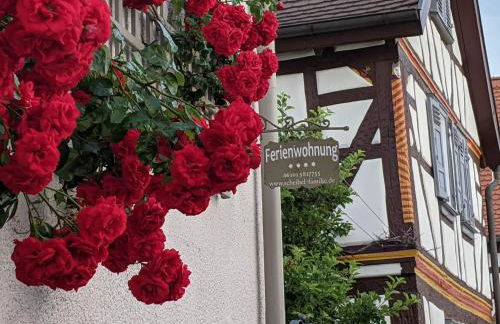 Apartment Familie Scheibel - Foto 9