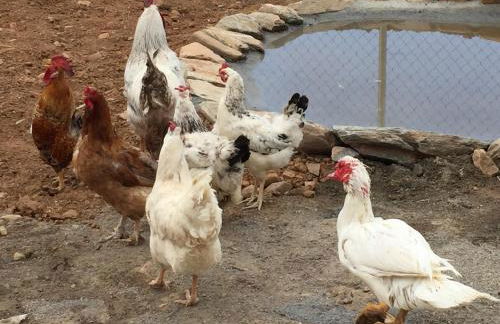 romantic house for 2 or 4 people with jacuzzi - Foto 18